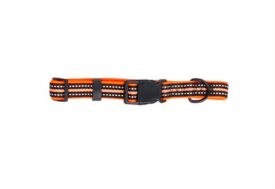 Pawise Dog Reflective Collar Orange