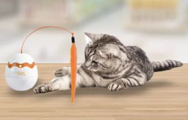 Pawise Modern Cat-Dino Egg Spinner