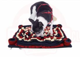 Pawise Nose Work Game Mat