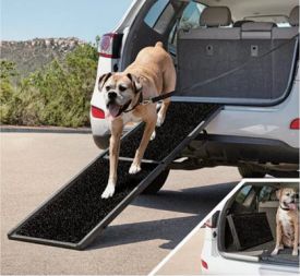 Pawise Portable Pet Ramp