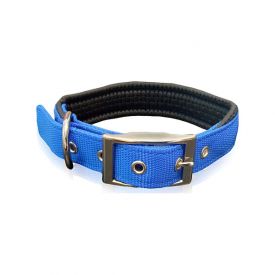 Pet Interest Collar Single Neoprene Metal Buckle Blue