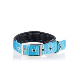 Pet Interest Collar Single Neoprene Metal Buckle Fluorescent Blue