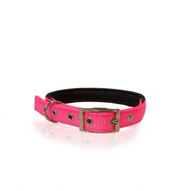 Pet Interest Collar Single Neoprene Metal Buckle Hot Pink