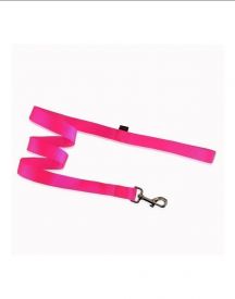 Pet Interest Neon Pink