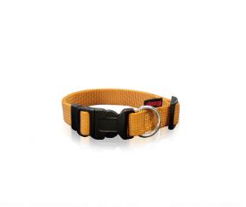 Pet Interest Plain Line Collar Orange 