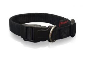 Pet Interest Plain Collar w/Plastic Buckle Black