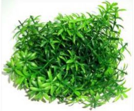 Plastic Green Bush
