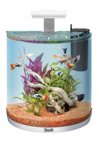 Aquarium Aqua Art Exp. Led Comp. Set Gold/white 30l