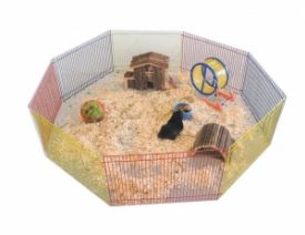 Nobby Playpen For Rabbits