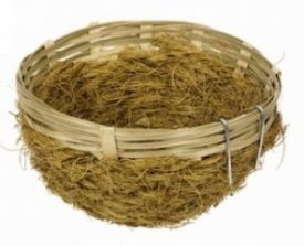 Nobby Bamboo & Coconut 11x5cm