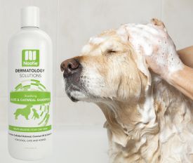 Nootie Dermatological Shampoo For Itchy & Dry Skin