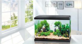 Resun Wonder Palace Aquarium WP80