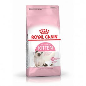 Royal Canin Kitten 36