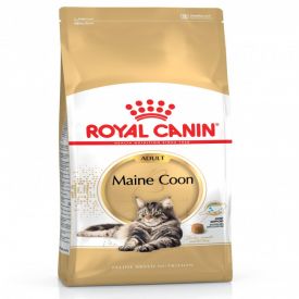 Royal Canin Maine Coon 31