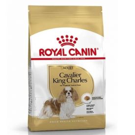 Royal Canin Cavalier King Charles