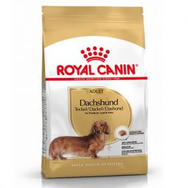 Royal Canin Dachshund Adult