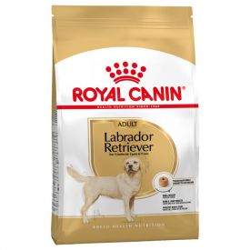 Royal Canin Labrador Retriever