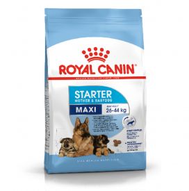 Royal Canin Maxi Starter