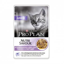 Pro Plan Kitten Wet Food With Turkey In Gravy