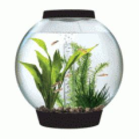 Baby Biorb Aquarium Black