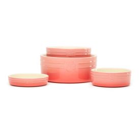 Scruffs Ombré Pet Bowl In Pink