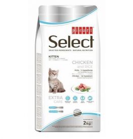 Select Cat Kitten