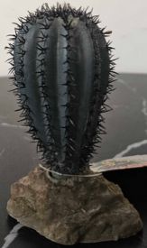 Cactus Aquarium Decor
