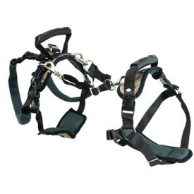 Support Harness