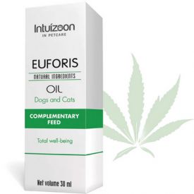 Intuizoon Euforis