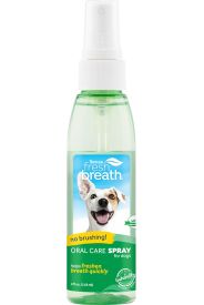 Fresh Breath Spray  