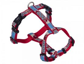 Nobby Harness Style