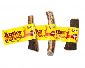 Antler Dog Chews Small