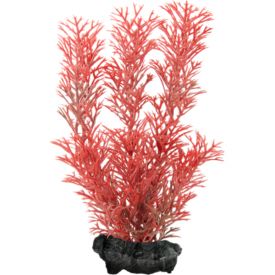 Tetra Aquarium Decoration Foxtail Red