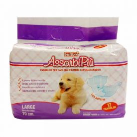 Absorbi Large Training Diapers