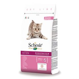 Schesir Kitten