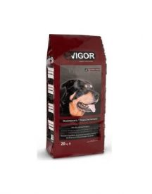 Vigor Adult Dog