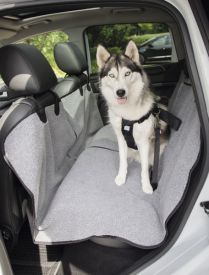 image of Car Seat Protection
