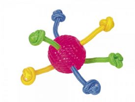 Tpr Ball With Rope Toy