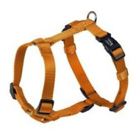 Nobby Harness Orange Xs/s