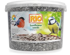 Rio Sunflower Seeds 