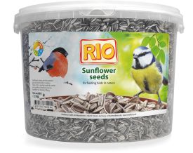 Rio Sunflower Seeds