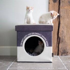 Box Lazy Merengue