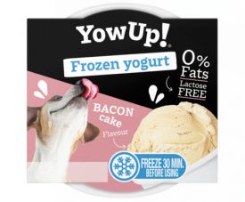 Yowup! Frozen Yogurt Bacon Cake
