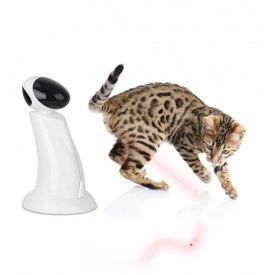 Cat-lazer Beam