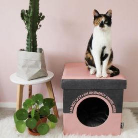 Box Lazy Pink