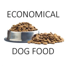 Economical Dog Food