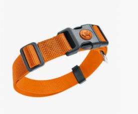 Hunter Collar Orange