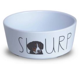 Pet Interest Deluxe Melamine Bowl Slurp