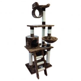 Pet Interest Kitten Cat Playground