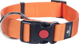 Karlie Collar Ziggi Orange